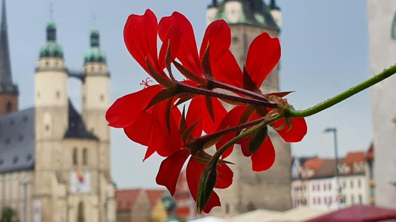 Budget Rooms In Halle With Shared Bathroom, Free Wifi, Netflix & Ipad Bagian luar foto